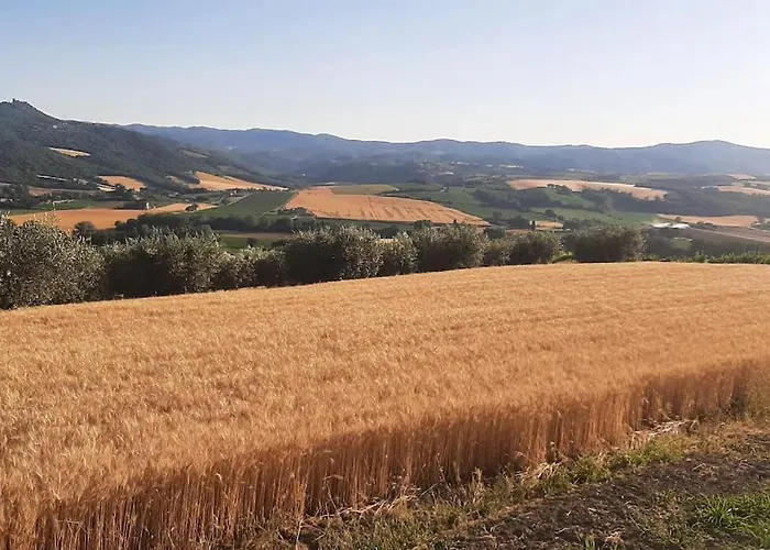 Il Giglio Perlato